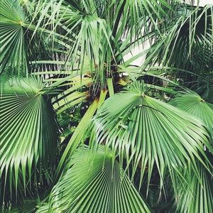 Meet your Posher, Claire